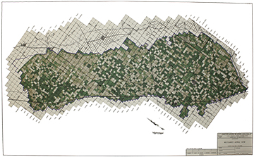 wwd7-12-09sm.jpg wwd7-12-09sm.jpg